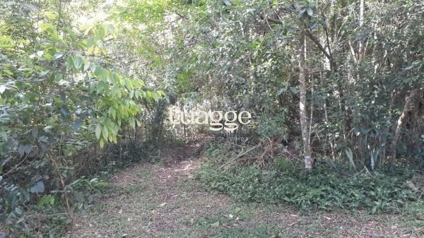 Terreno à venda, 292m² - Foto 23