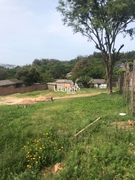 Terreno, à venda, Tristeza - Porto Alegre — foto 4