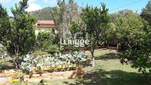 Sítio à venda com 3 quartos, 248m² - Foto 53