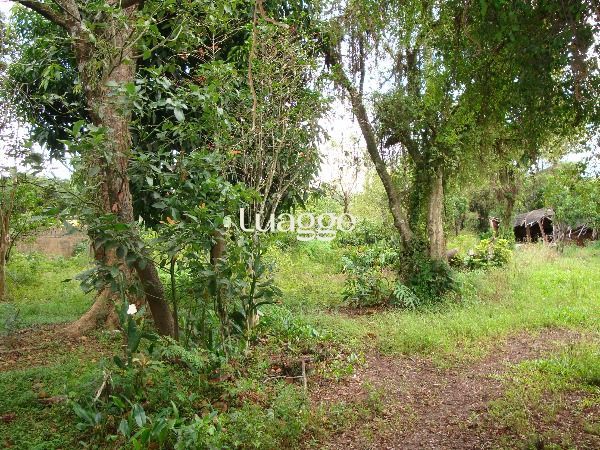 Terreno à venda, 329m² - Foto 5