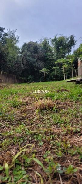 Terreno, à venda, Ipanema - Porto Alegre — foto 3
