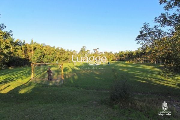 Sítio à venda com 4 quartos, 50045m² - Foto 42