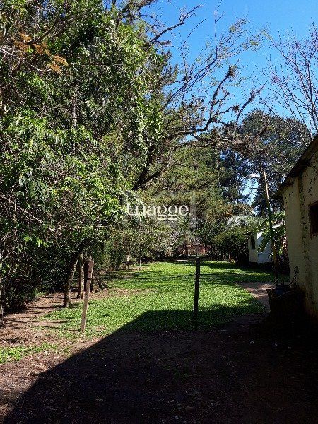 Sítio à venda com 3 quartos, 151m² - Foto 6