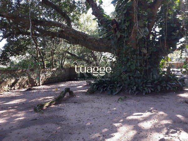 Sítio à venda com 3 quartos, 151m² - Foto 18