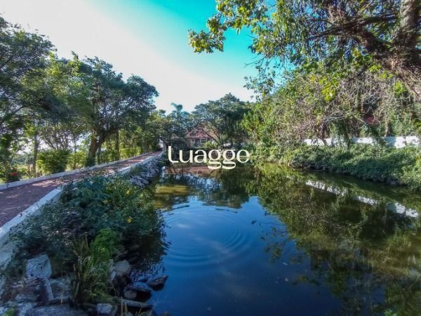 Sítio à venda com 4 quartos, 192m² - Foto 43