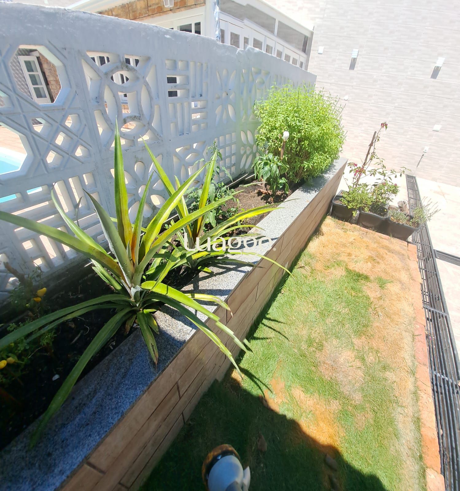Casa à venda com 3 quartos, 127m² - Foto 23