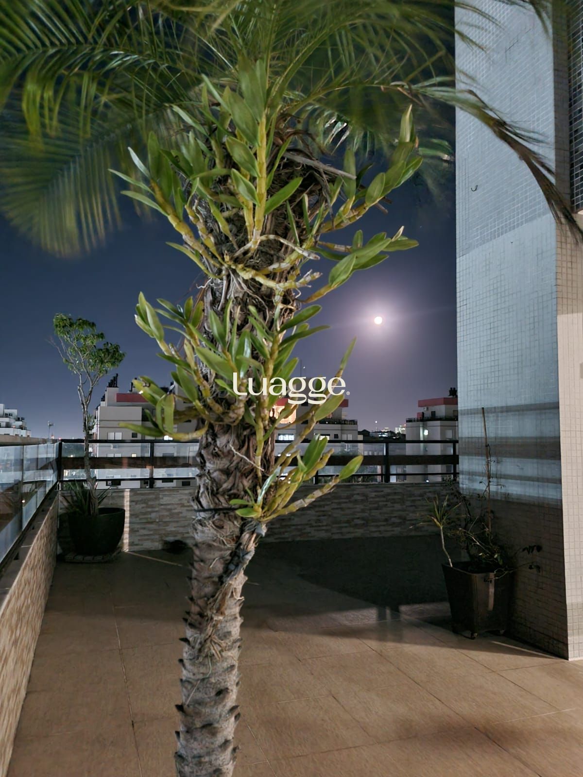 Cobertura, 3 quartos, 296 m² - Foto 5