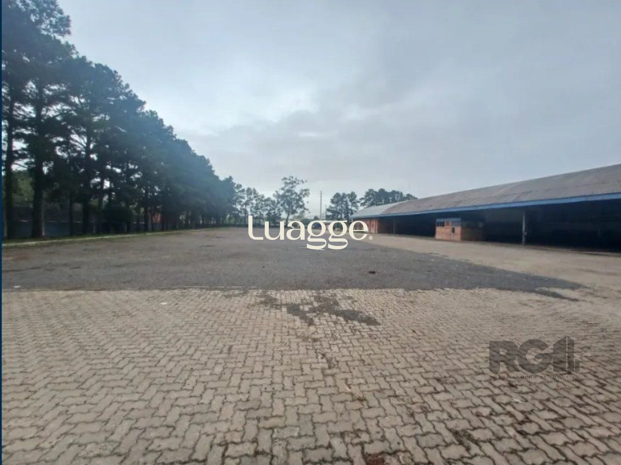 Depósito-Galpão, 14001 m² - Foto 4