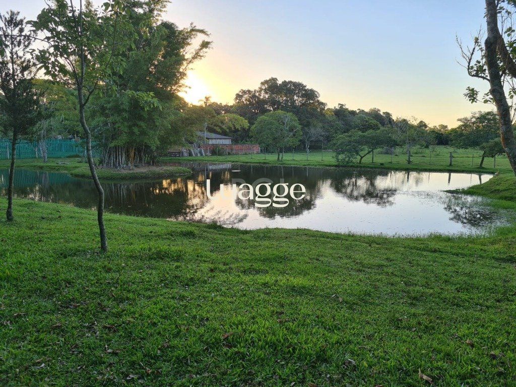 Sítio, 3 quartos, 60001 m² - Foto 2