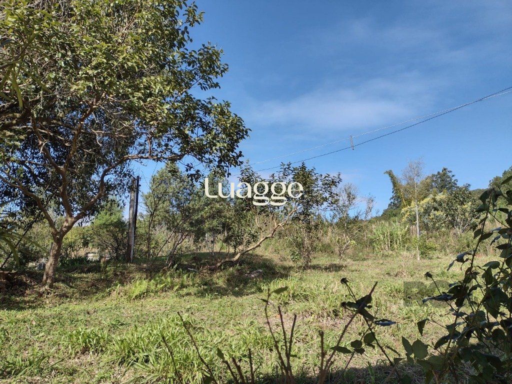 Sítio à venda com 1 quarto, 212m² - Foto 33