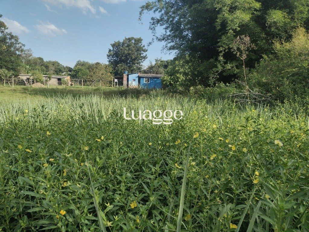 Terreno à venda, 2021m² - Foto 4