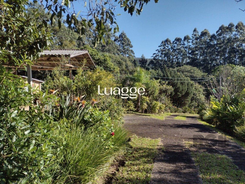Sítio à venda com 1 quarto, 212m² - Foto 29