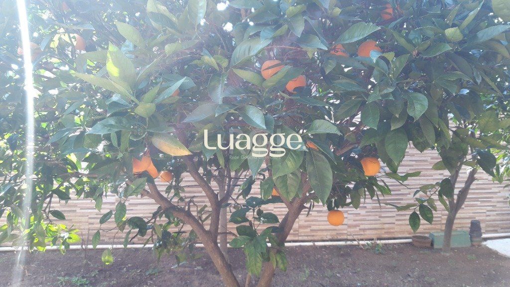 Casa à venda com 3 quartos, 98m² - Foto 24