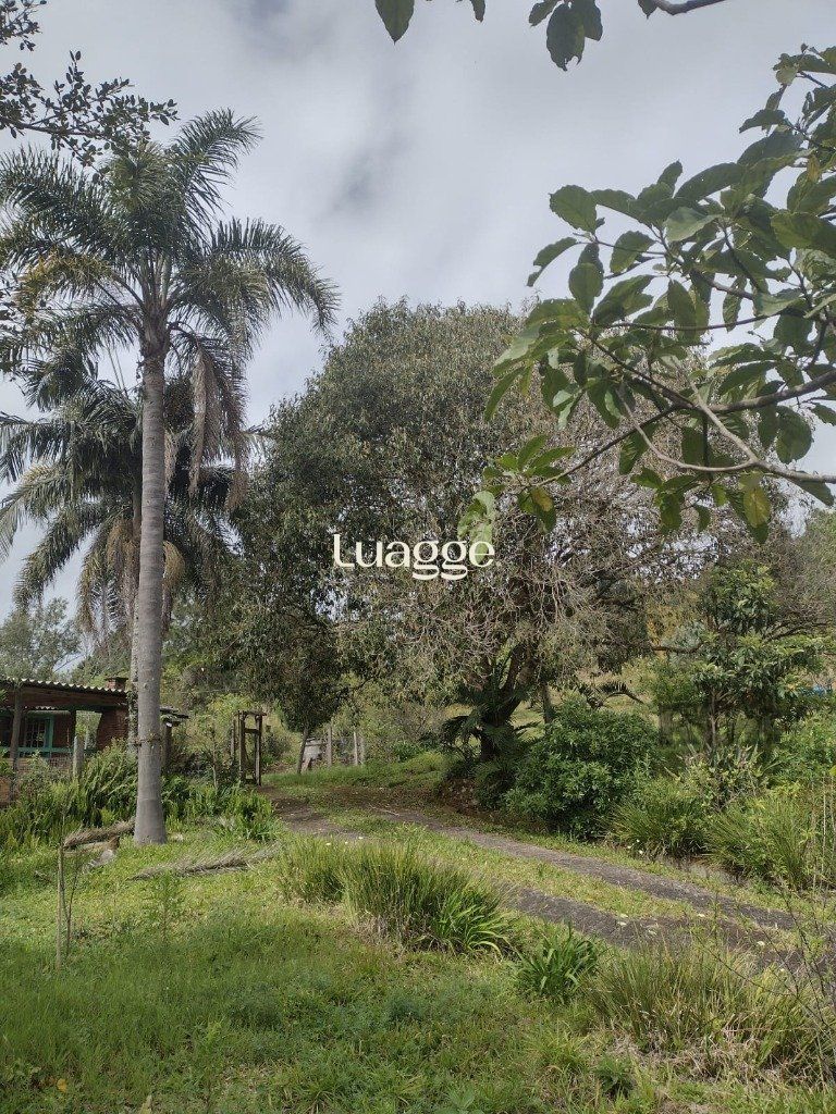 Sítio à venda com 1 quarto, 212m² - Foto 38