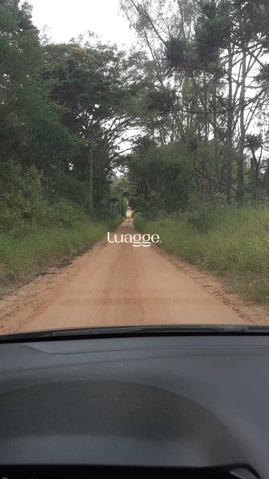 Terreno, 97 hectares - Foto 1