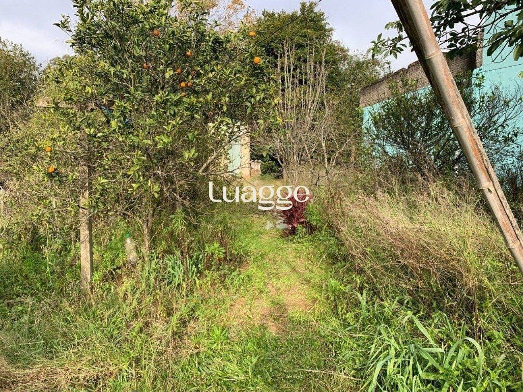 Depósito-Galpão-Armazém à venda com 3 quartos, 14m² - Foto 5