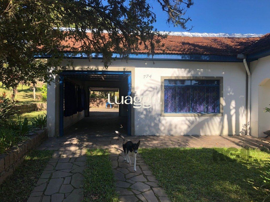 Sítio à venda, 9999m² - Foto 6
