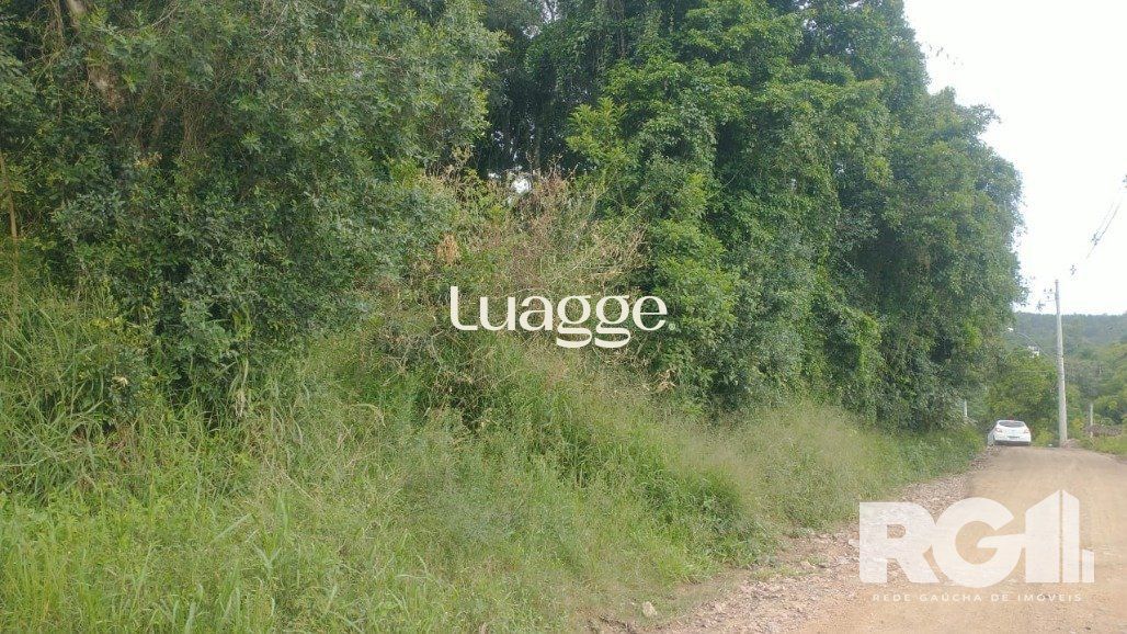 Terreno, 316 m² - Foto 10