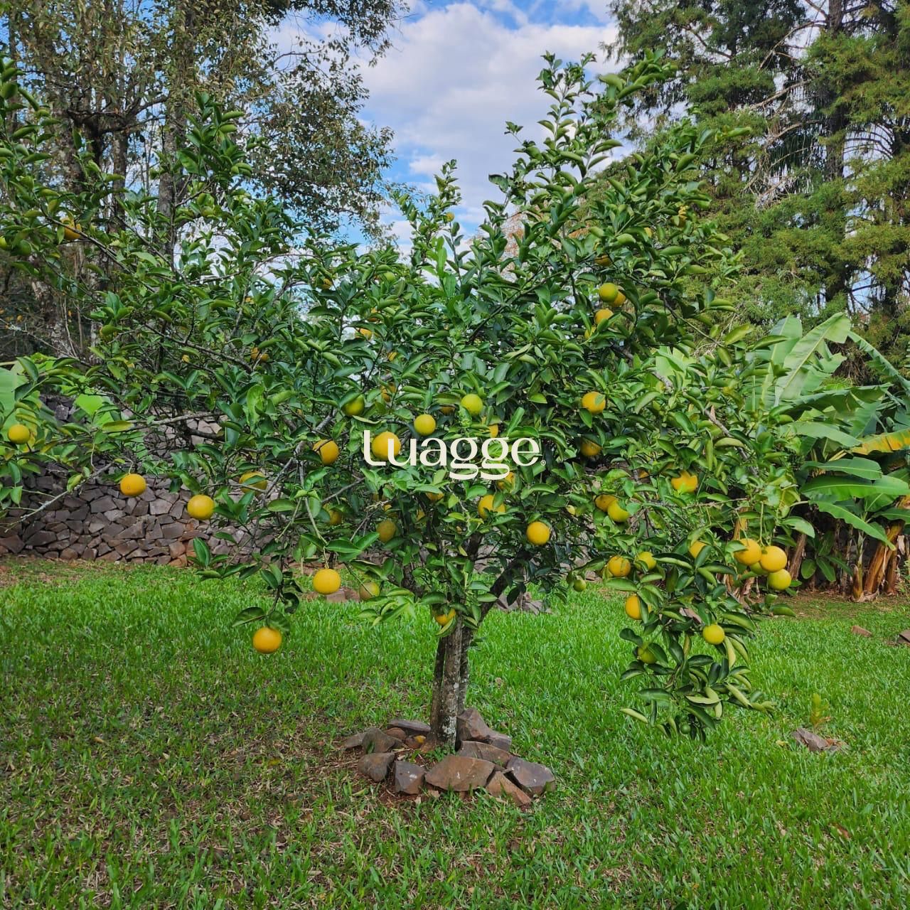 Casa, 2 quartos, 83 m² - Foto 73