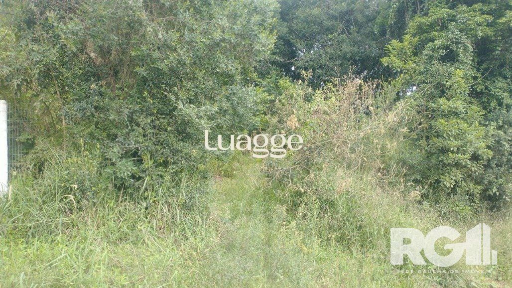 Terreno, 666 m² - Foto 8