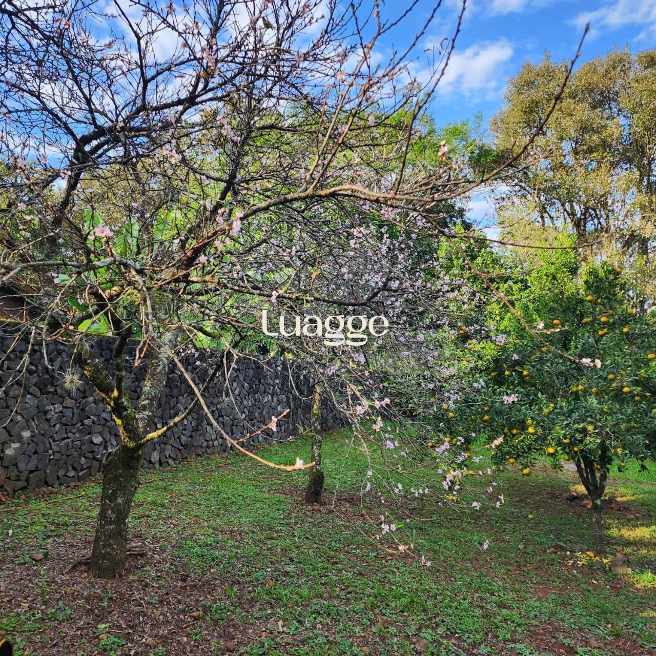 Casa, 2 quartos, 83 m² - Foto 35