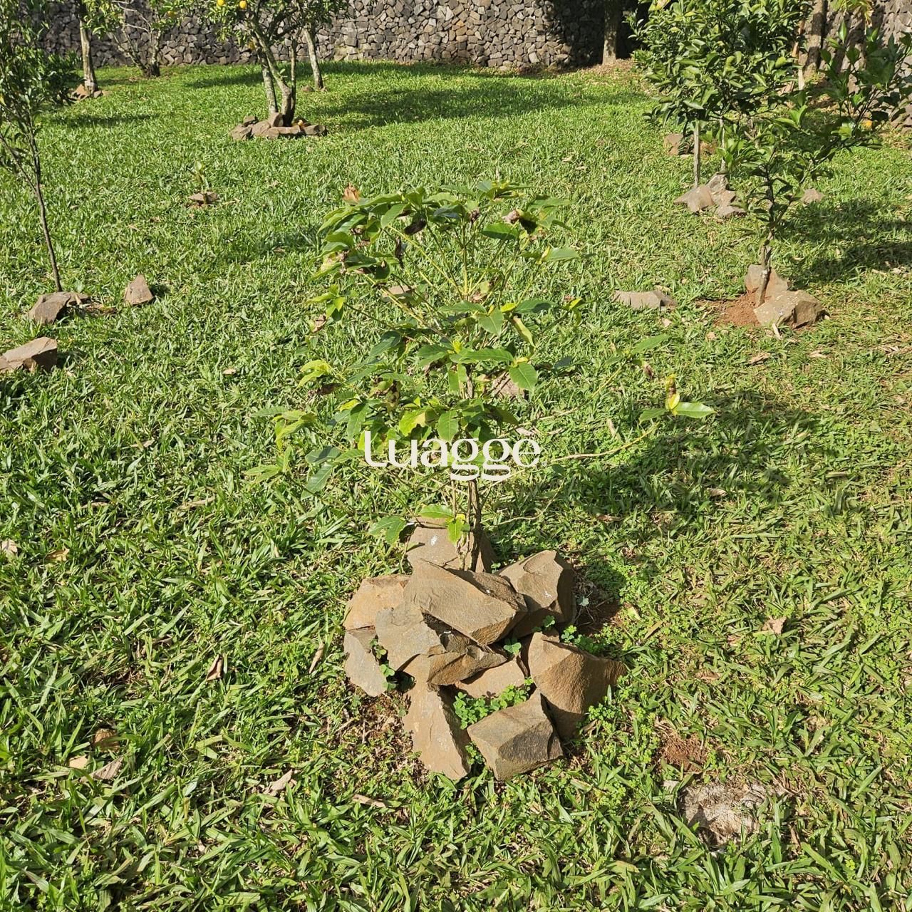 Casa, 2 quartos, 83 m² - Foto 20