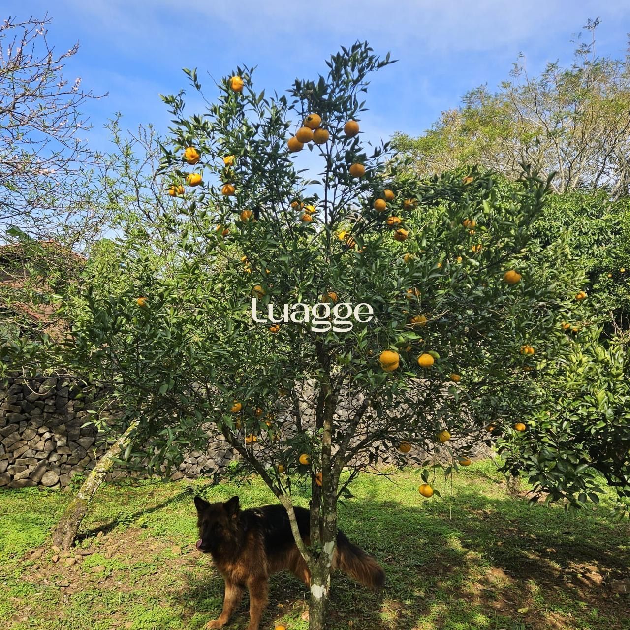 Casa, 2 quartos, 83 m² - Foto 67