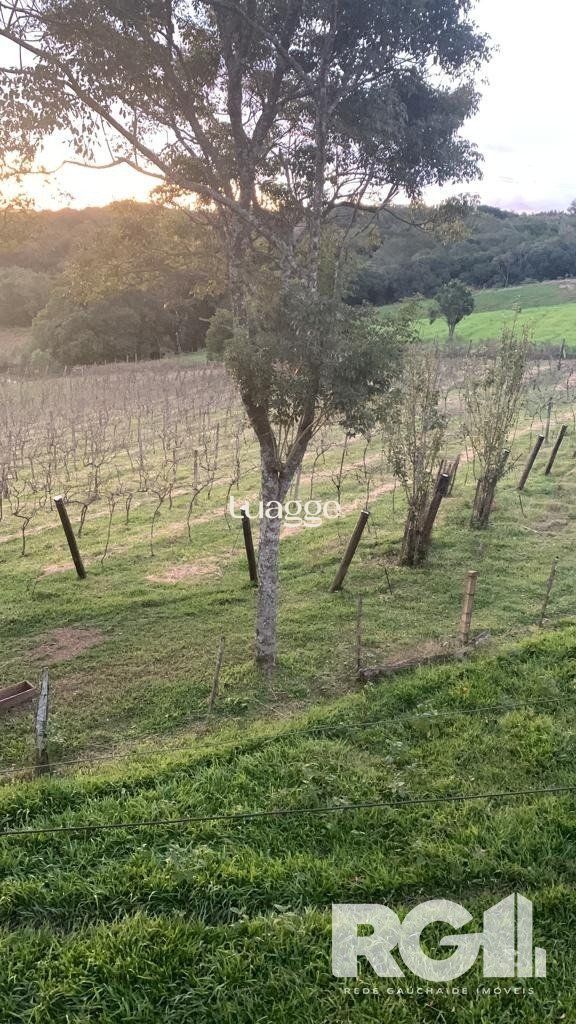 Sítio à venda com 2 quartos, 118m² - Foto 25