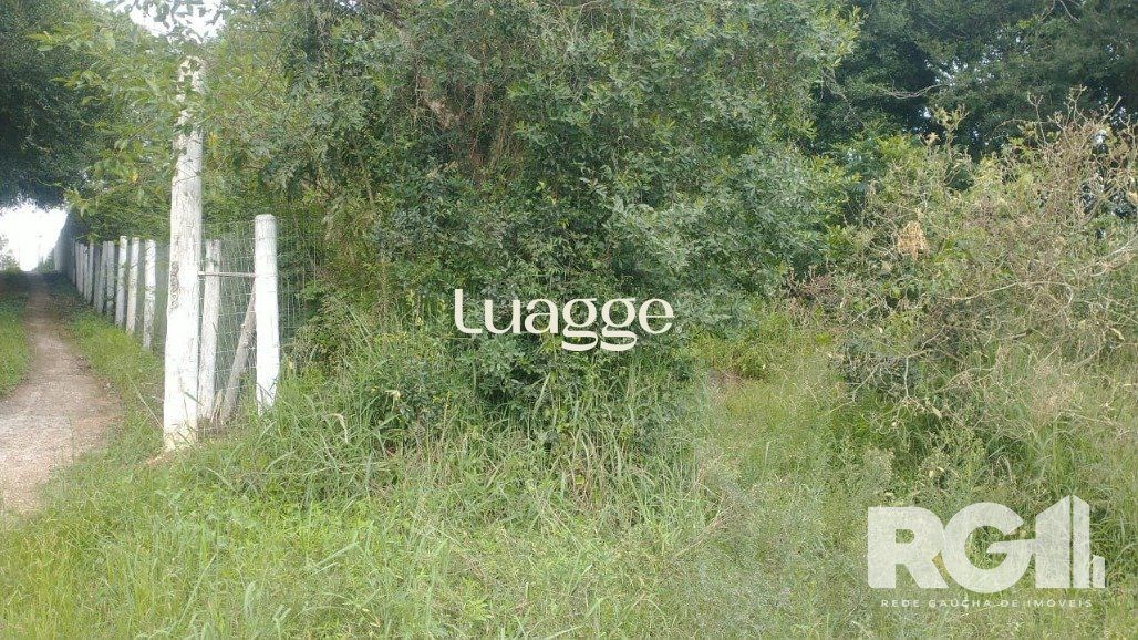 Terreno, 316 m² - Foto 7