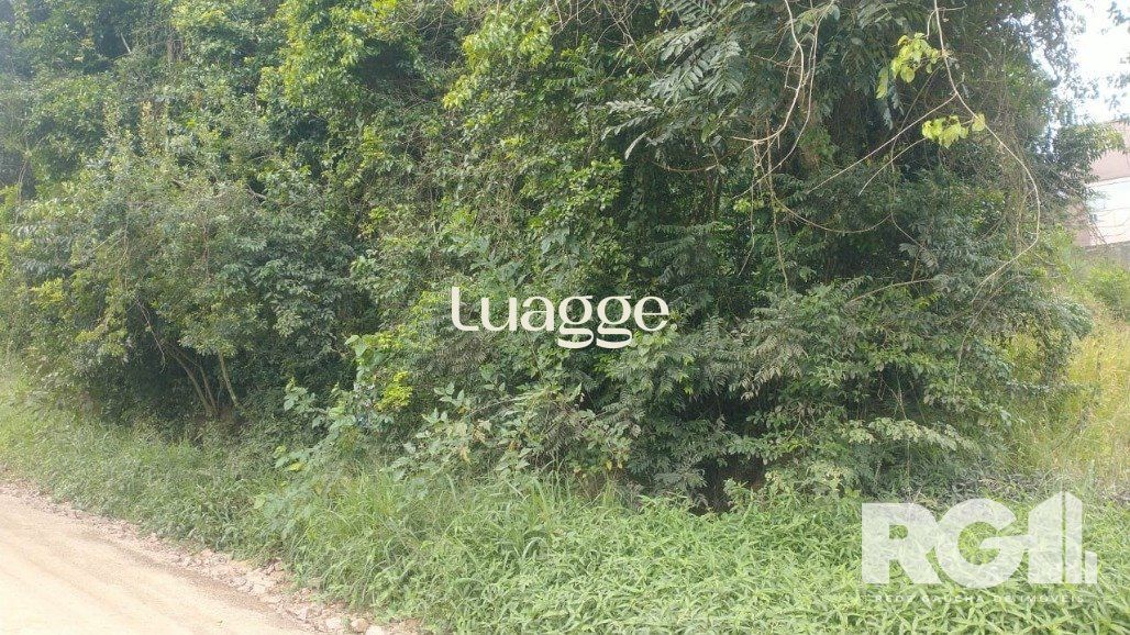 Terreno, 316 m² - Foto 4