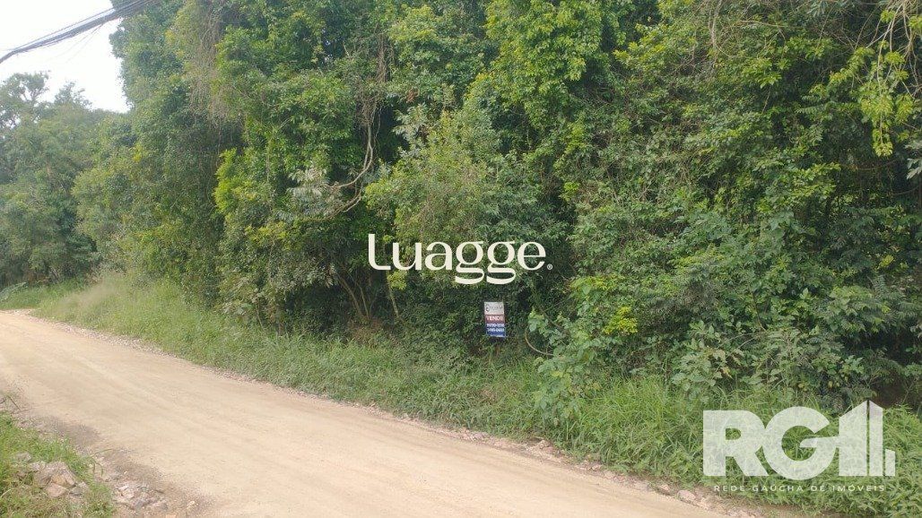 Terreno, 316 m² - Foto 5