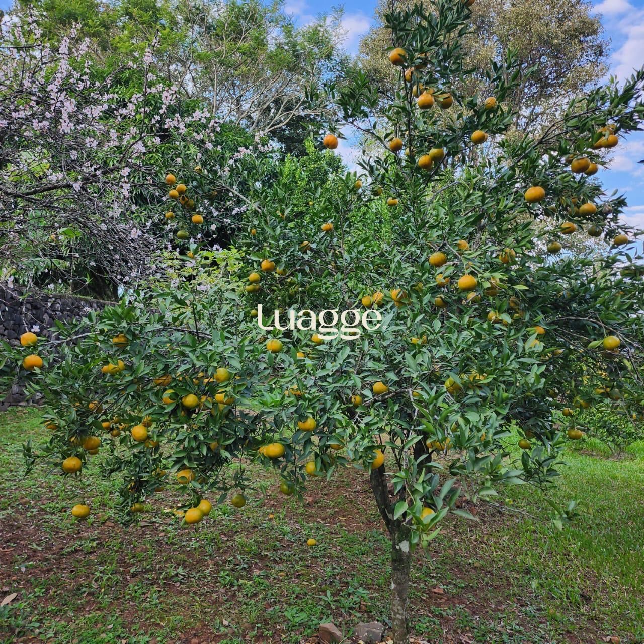 Casa, 2 quartos, 83 m² - Foto 7