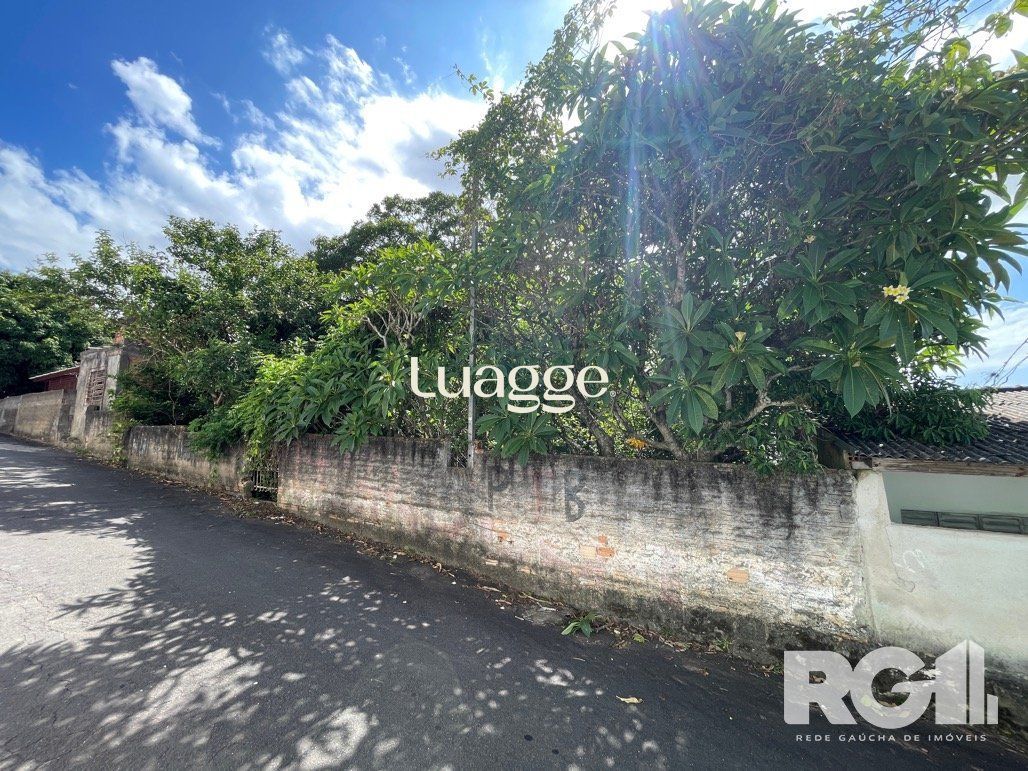 Terreno, 290 m² - Foto 6