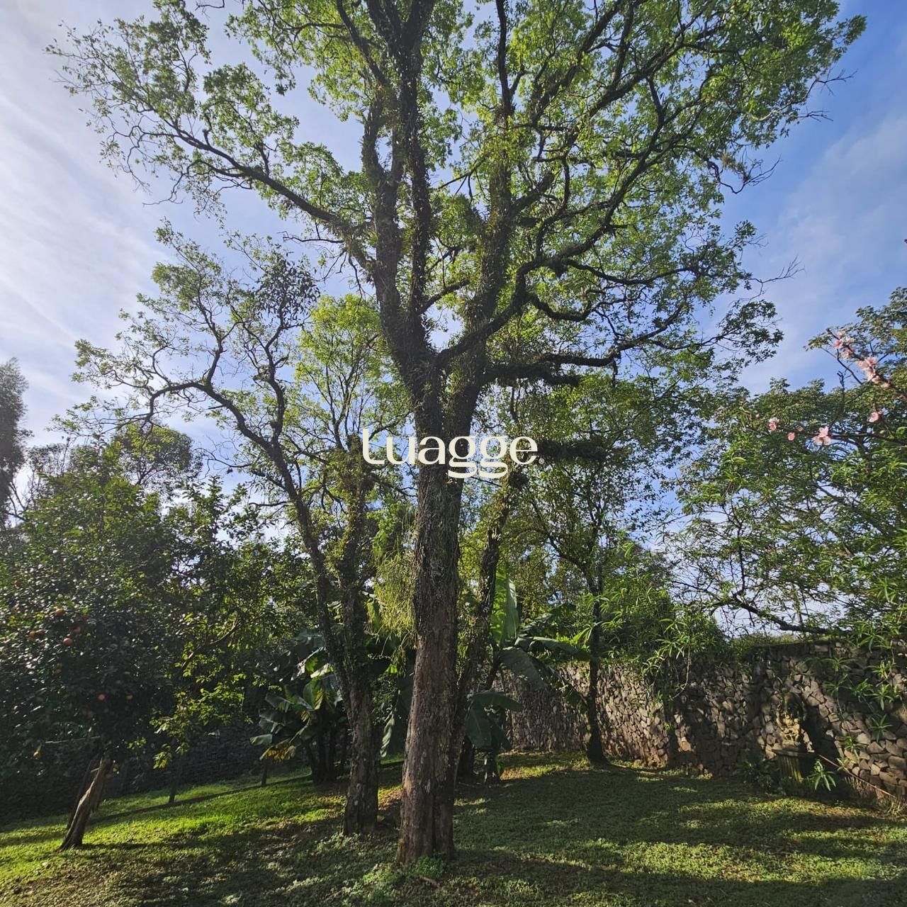 Casa, 2 quartos, 83 m² - Foto 26