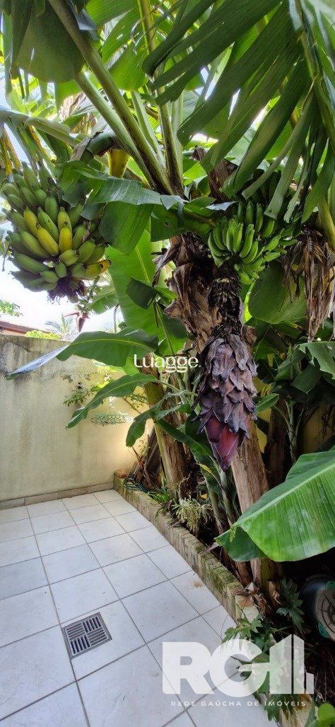Casa de Condomínio à venda com 3 quartos, 159m² - Foto 33