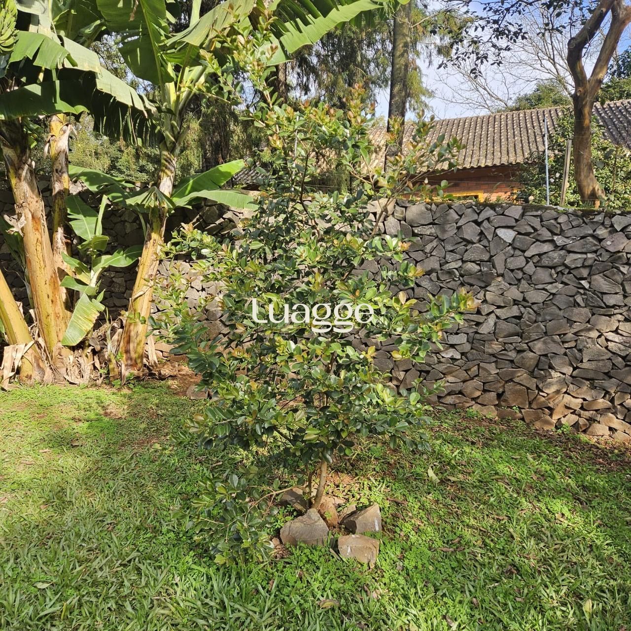 Casa, 2 quartos, 83 m² - Foto 4