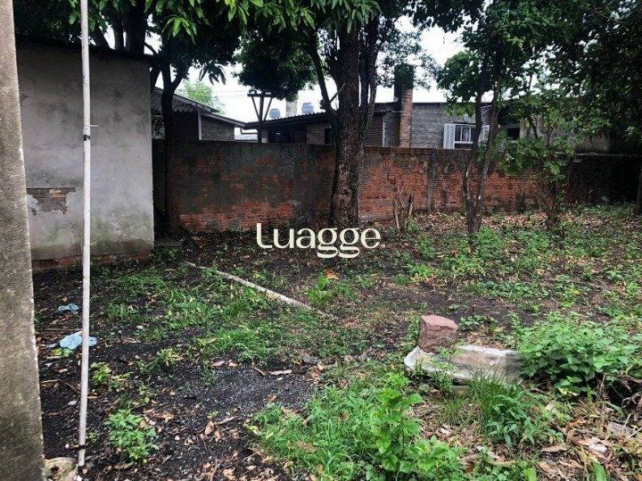 Terreno à venda, 392m² - Foto 2