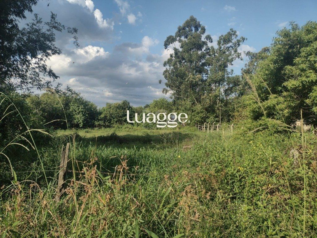 Terreno à venda, 2021m² - Foto 11