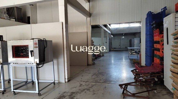 Depósito-Galpão-Armazém à venda, 409m² - Foto 15