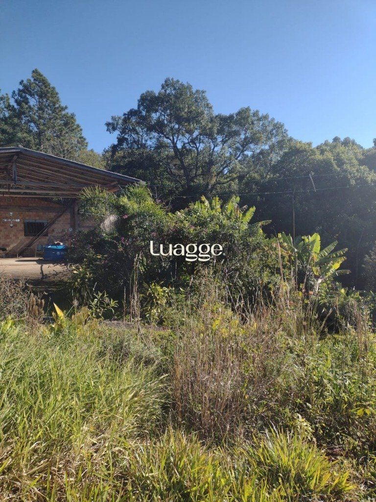 Sítio à venda com 1 quarto, 212m² - Foto 11