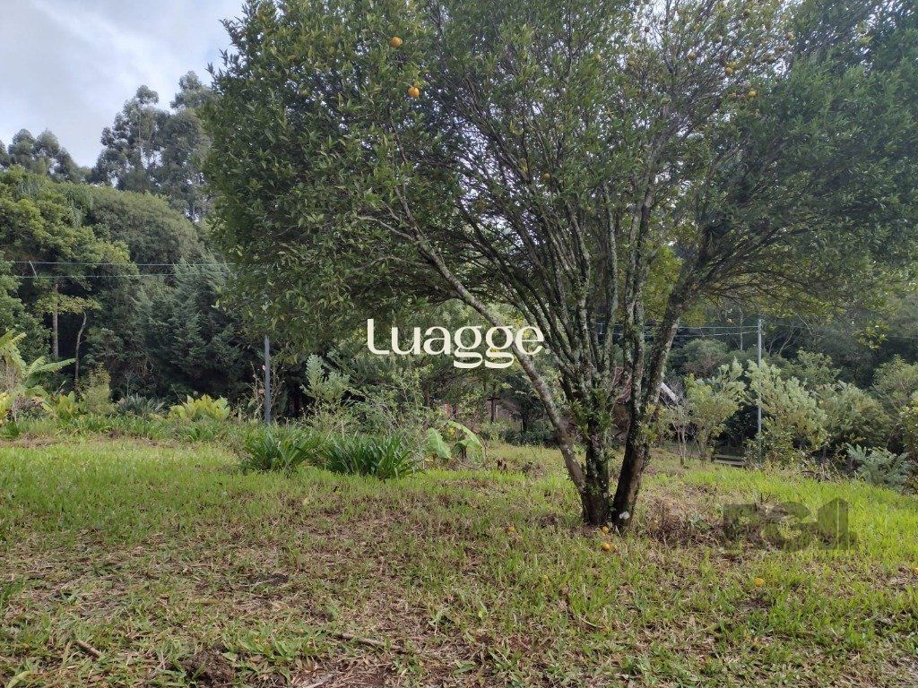 Sítio à venda com 1 quarto, 212m² - Foto 30