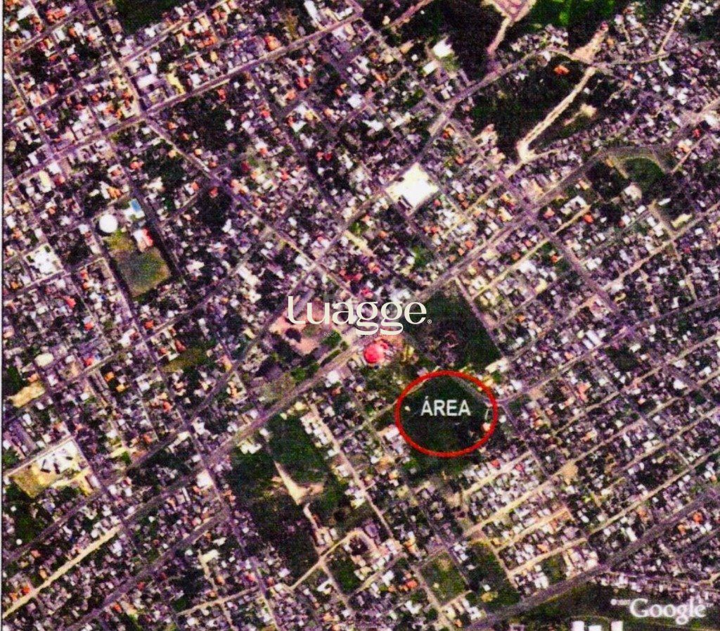 Terreno à venda, 11800m² - Foto 6