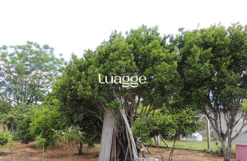 Terreno, 601 m² - Foto 13