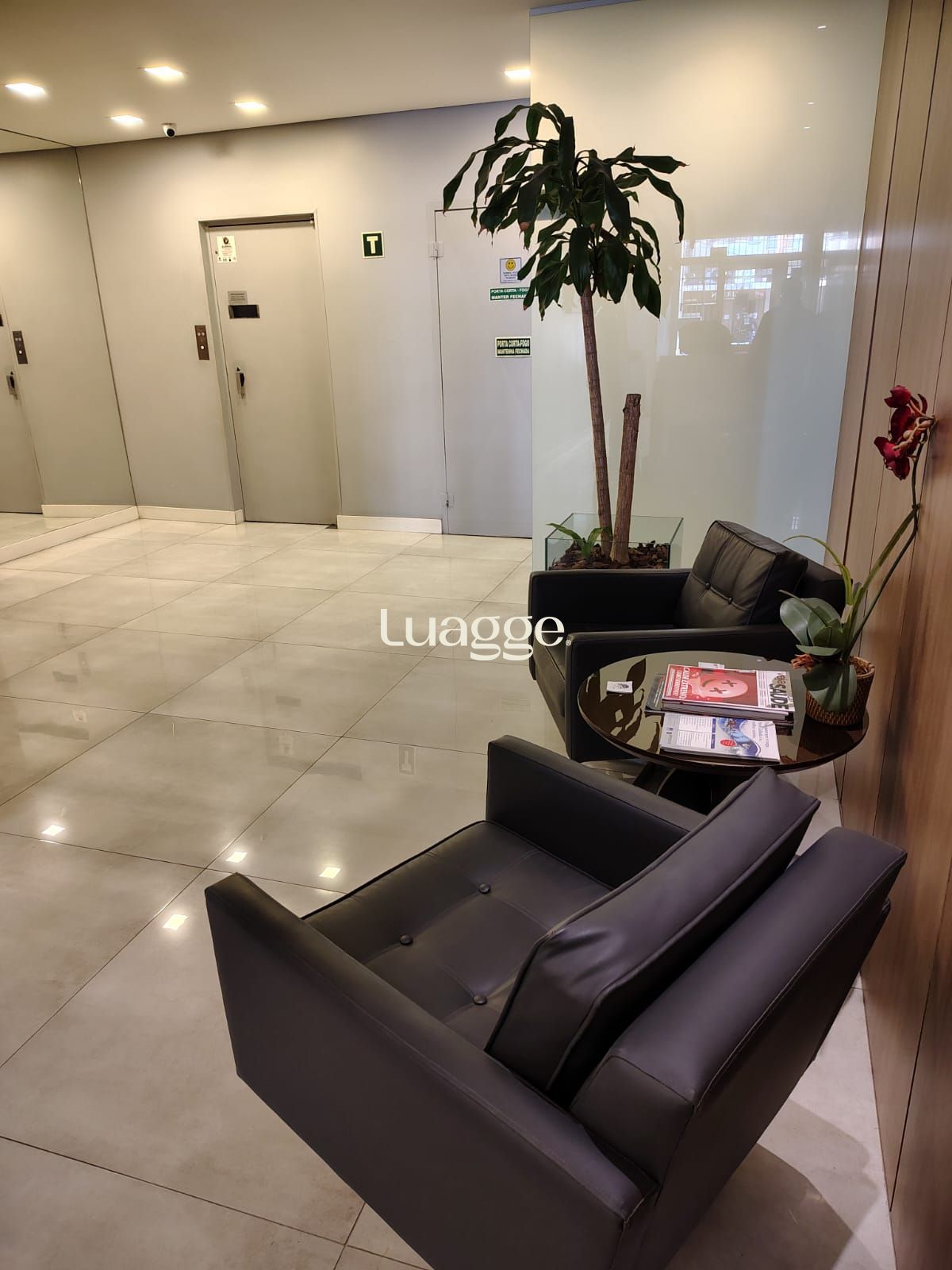 Sala-Conjunto, 31 m² - Foto 5