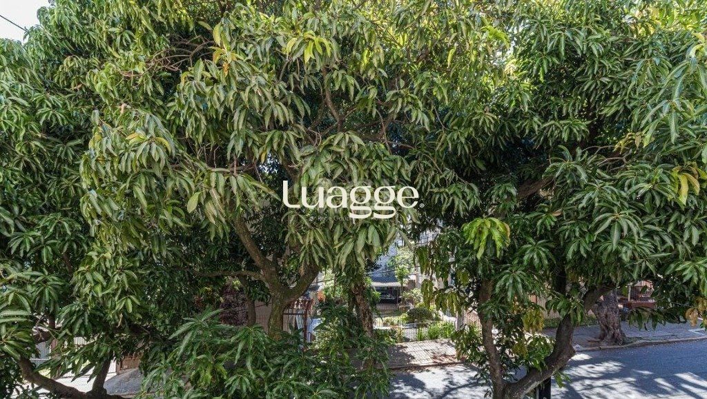 Apartamento à venda com 3 quartos, 75m² - Foto 19