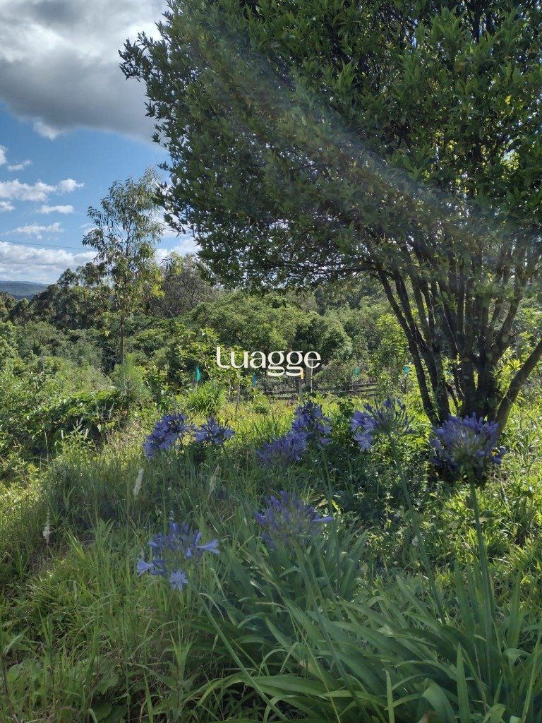 Sítio à venda com 1 quarto, 212m² - Foto 19