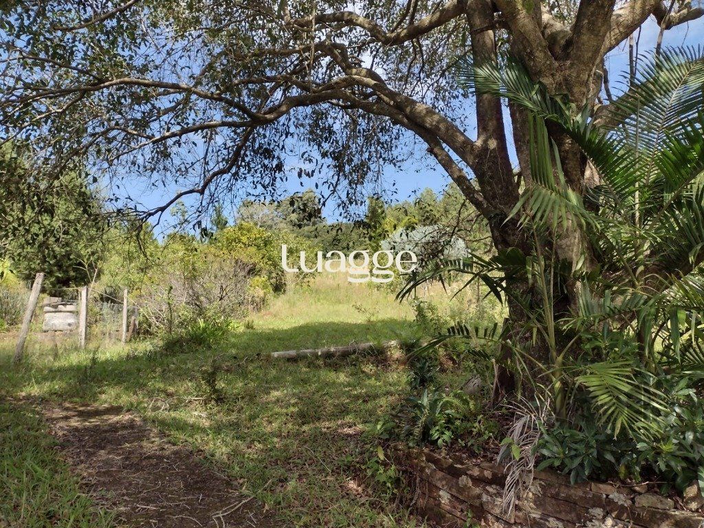 Sítio à venda com 1 quarto, 212m² - Foto 6