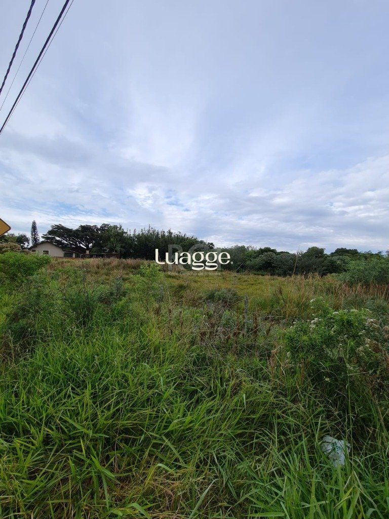 Terreno à venda, 11800m² - Foto 4