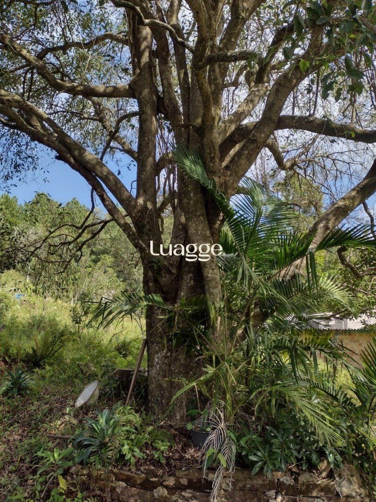 Sítio à venda com 1 quarto, 212m² - Foto 5