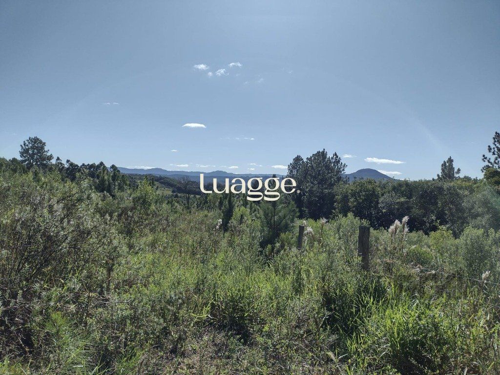 Sítio à venda com 1 quarto, 212m² - Foto 22